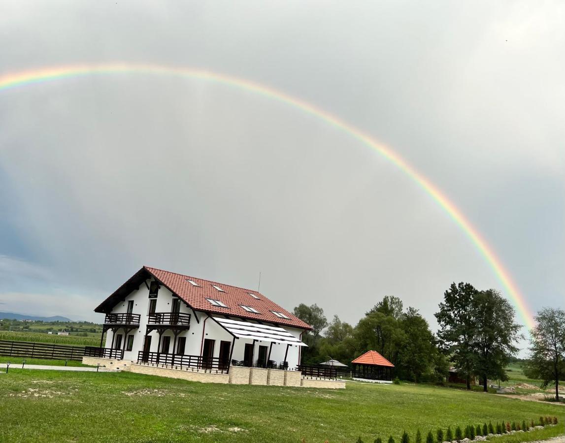 Casa Cu Flori Maramures Baia Mare Exterior foto